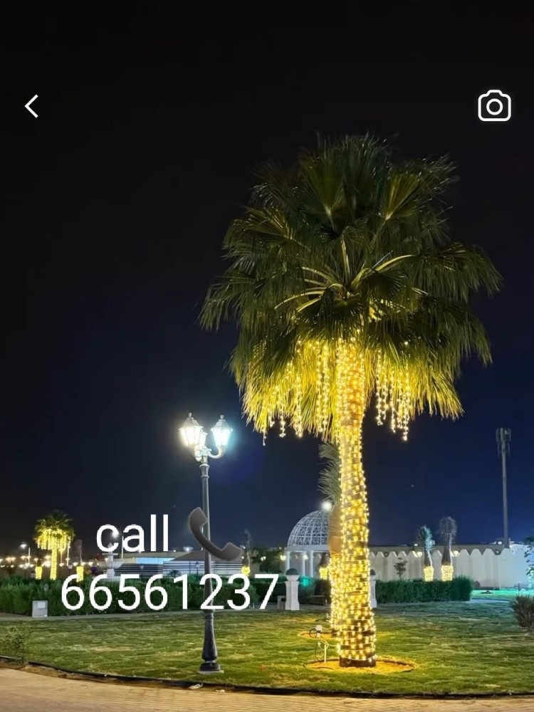 wedding  event lights qatar - 15