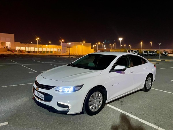 DOHA - 9