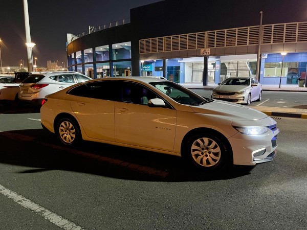 DOHA - 10