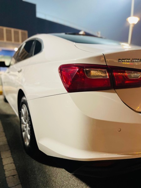 DOHA - 7