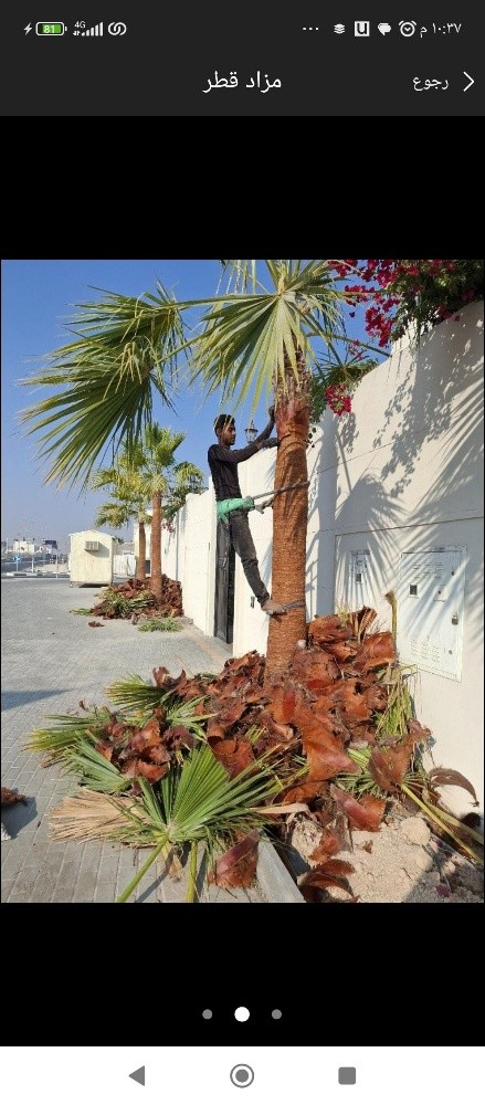 مزارع - 3