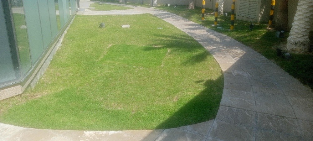 ikrar Ahmad - 1