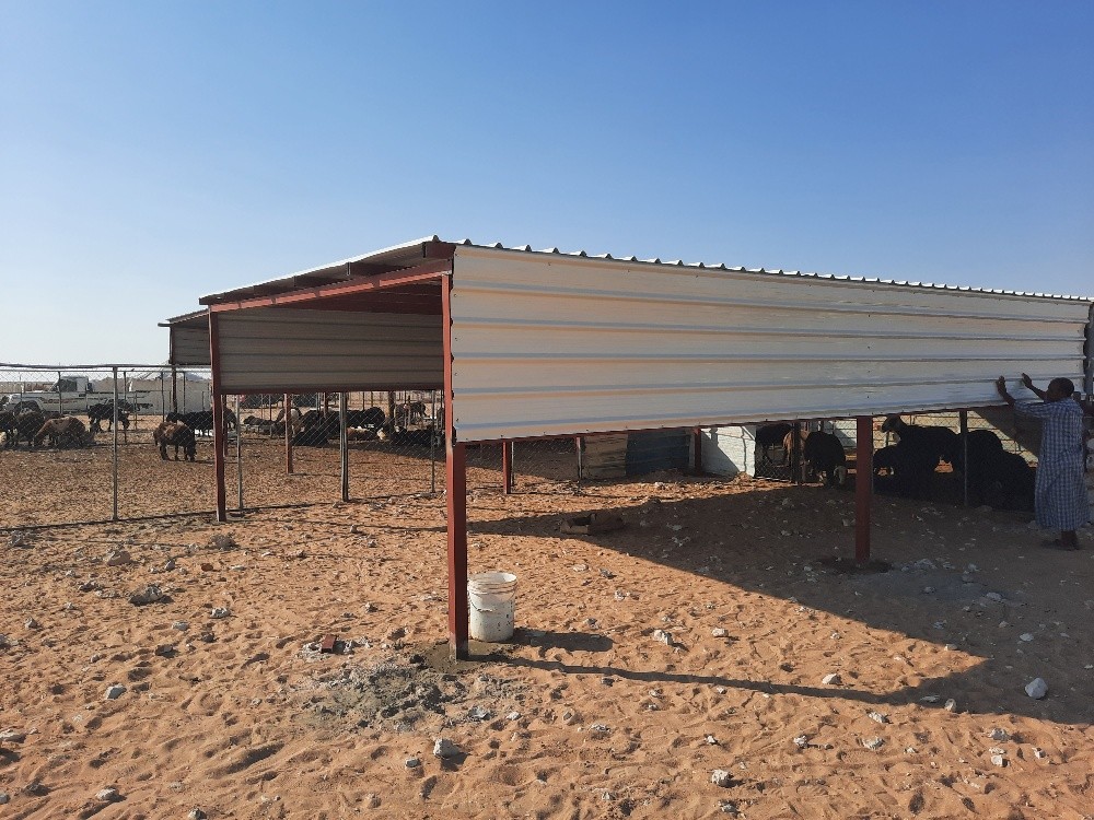موجالا - 3