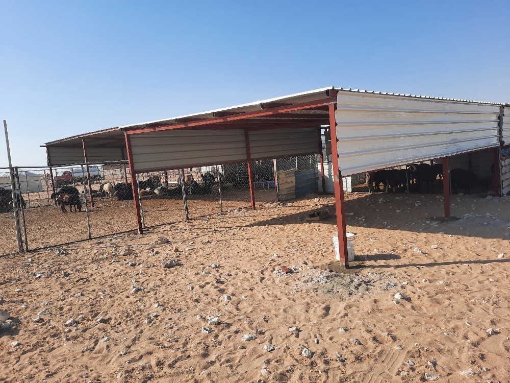 موجالا - 2