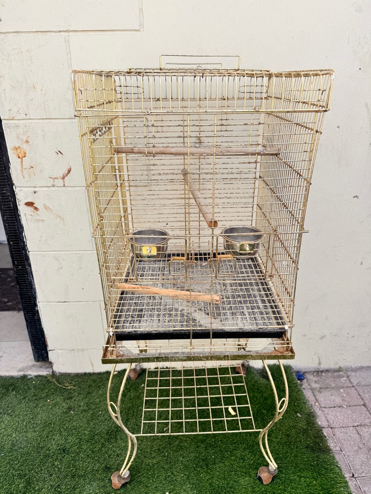 Cage  - 1