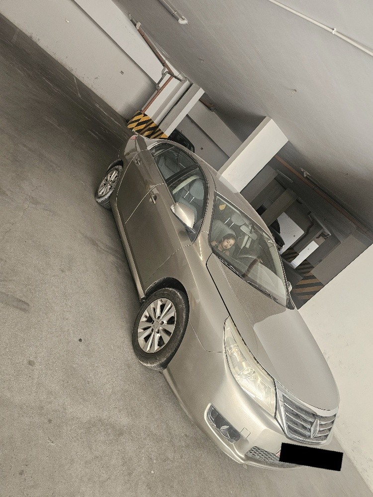 Renault Safran 2012 model - 5