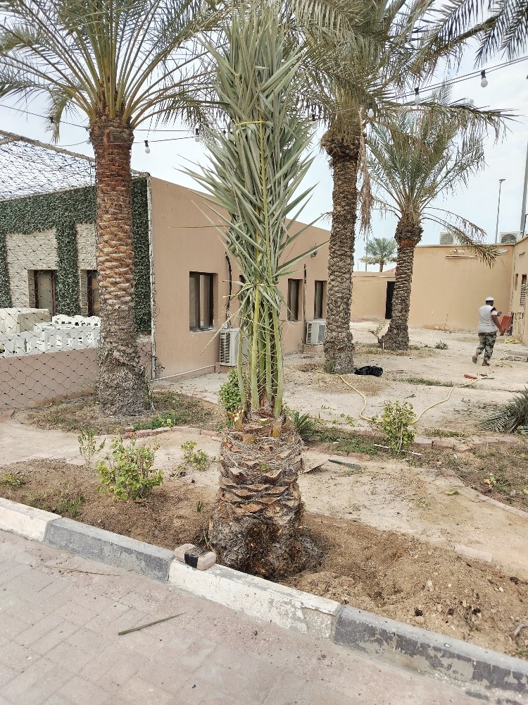 زراعة حدائق - 2