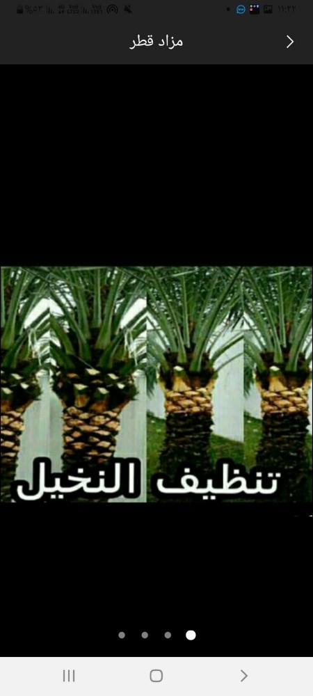 نخيل خدمات - 1
