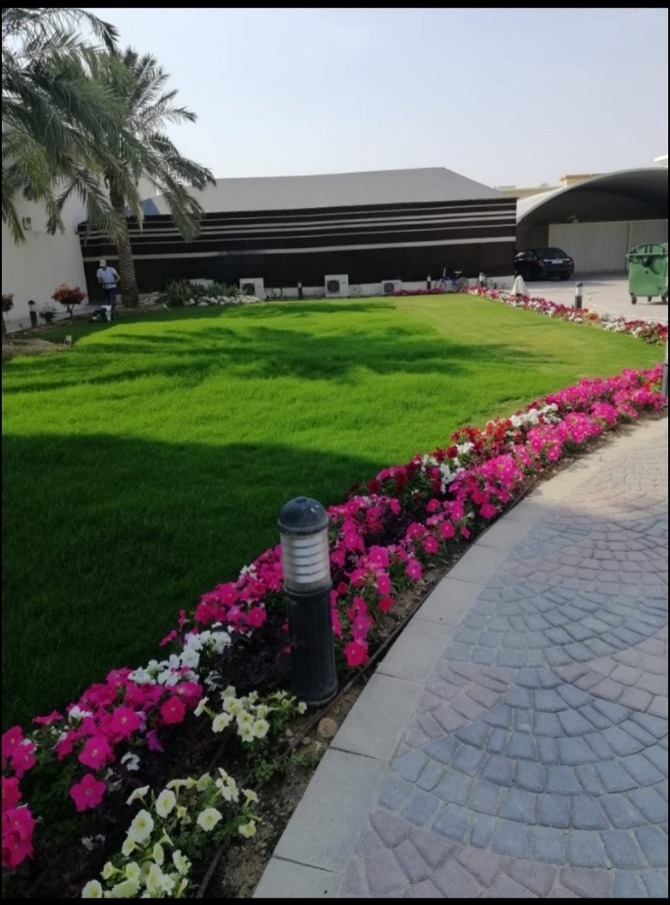 زراعه اجمل الحدائق - 4