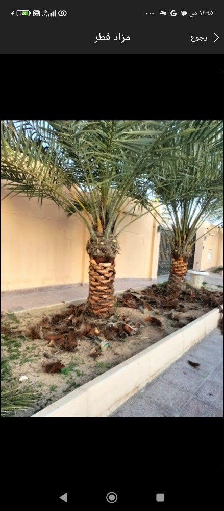 زراعه اجمل الحدائق - 6