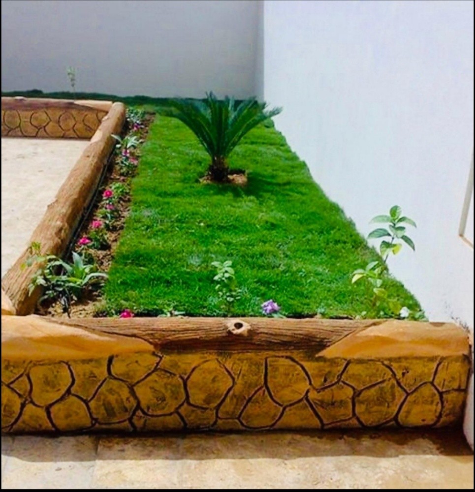 زراعه اجمل الحدائق - 3