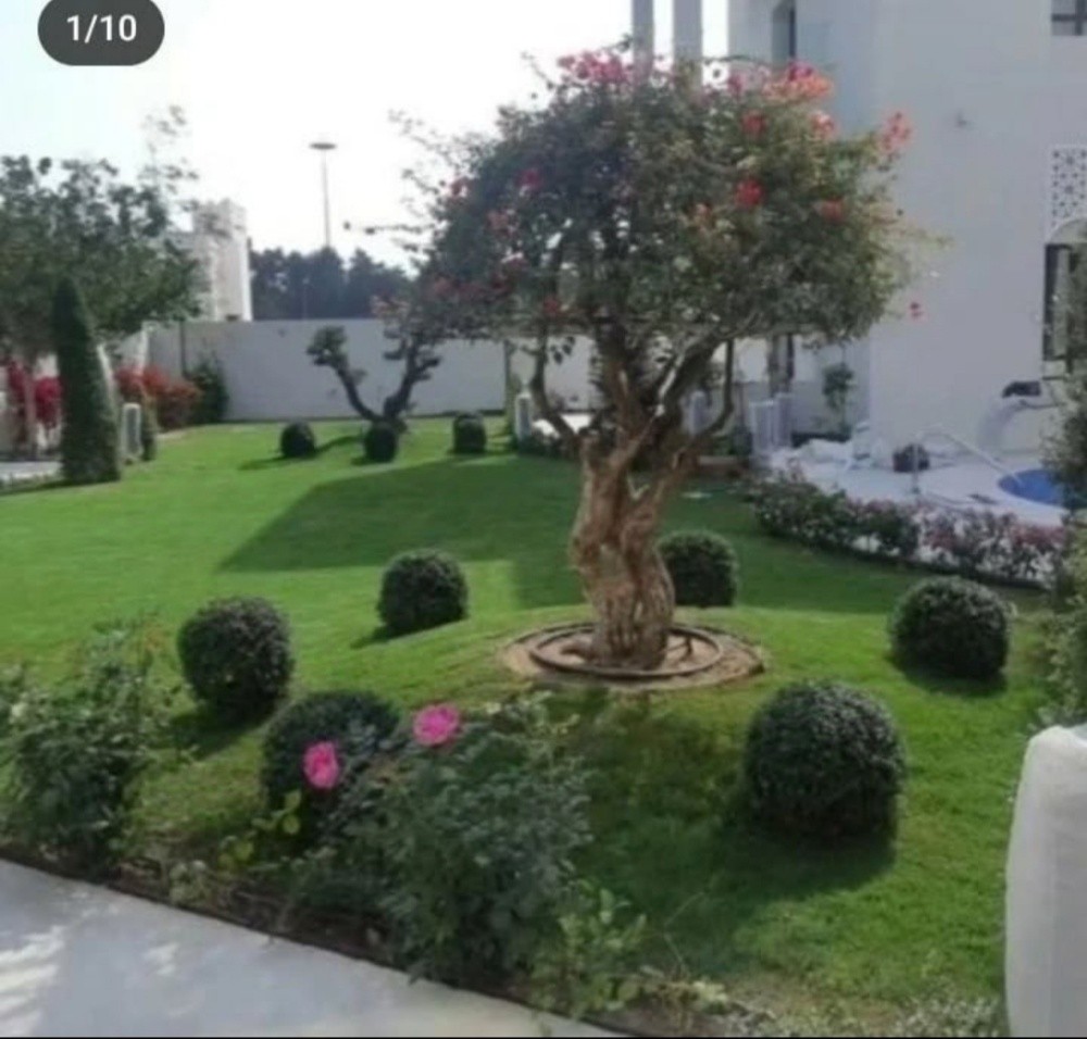 زراعه اجمل الحدائق - 1