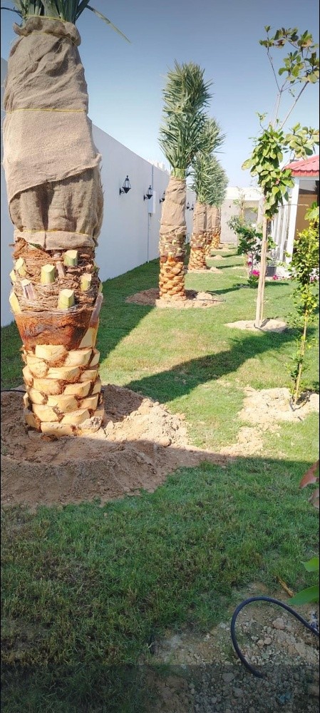 جميع اعمال الزراعة - 7