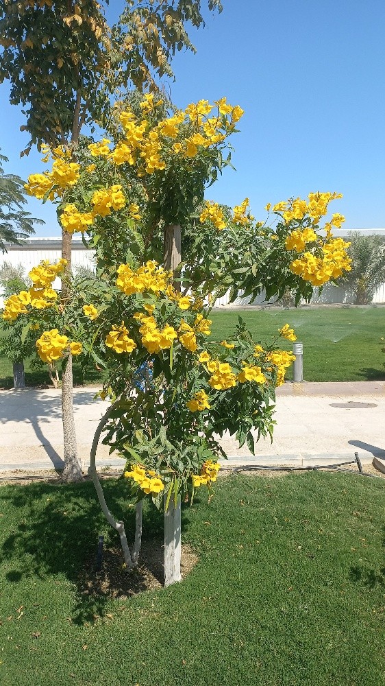 جميع اعمال الزراعة - 4