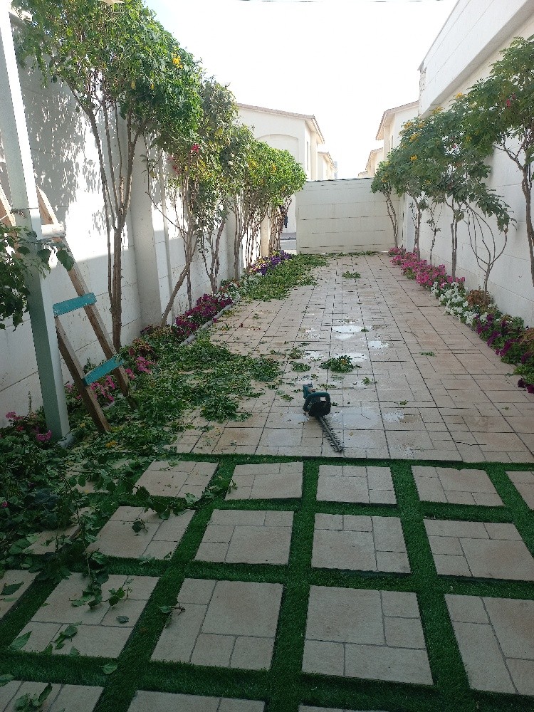 جميع اعمال الزراعة - 9