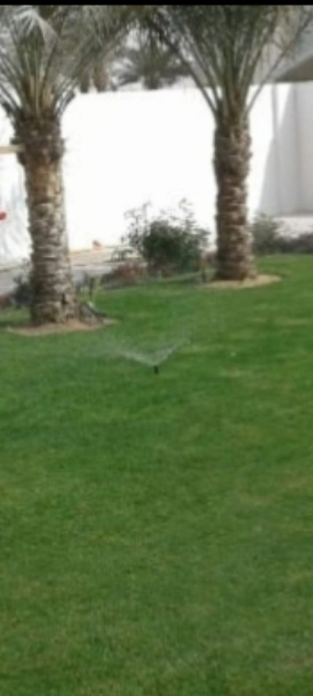 تنسيق وترتيب الحدائق - 8