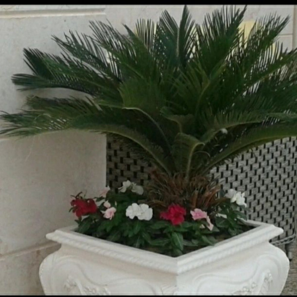 مهندس زراعي - 6
