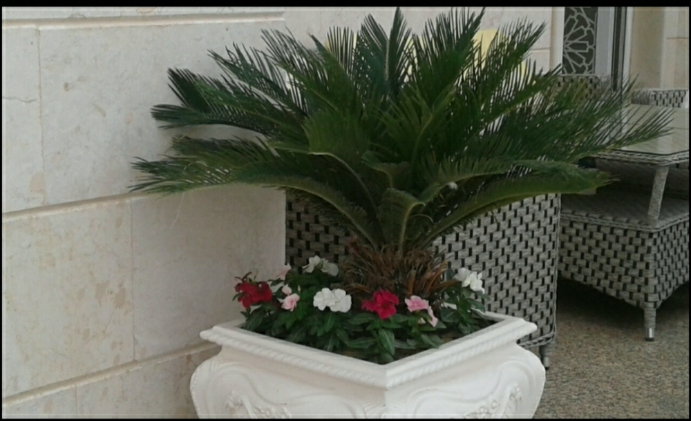 مهندس زراعي - 3