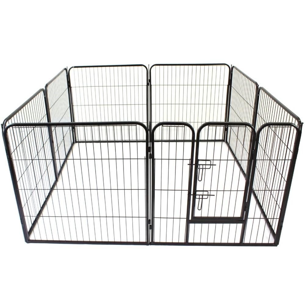 pets playing fence. - 5