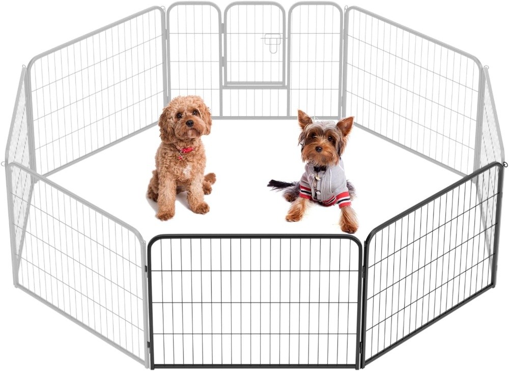 fence - 4