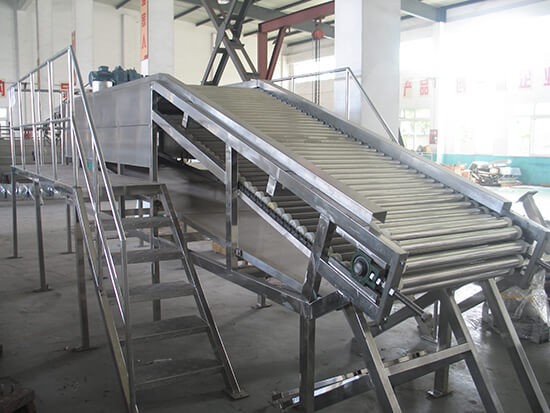 Fruit Sorting Machine - 2