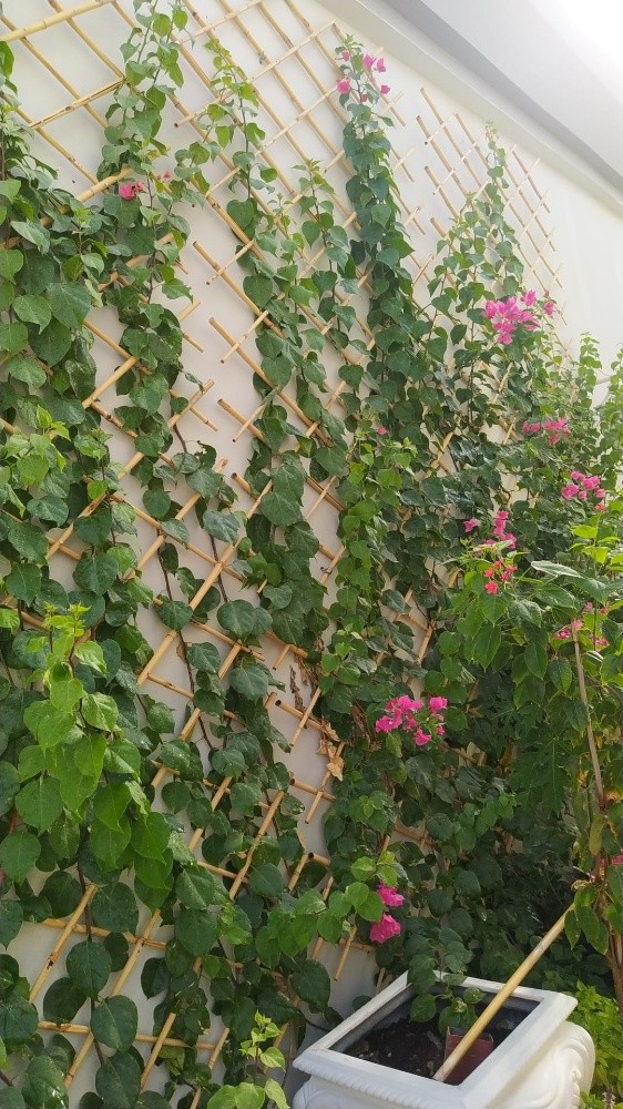 مهندس زراعي - 3