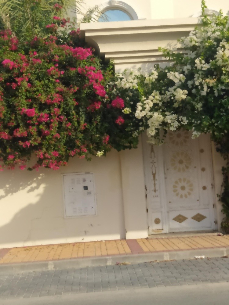 مشرف تنسيق حدائق - 12