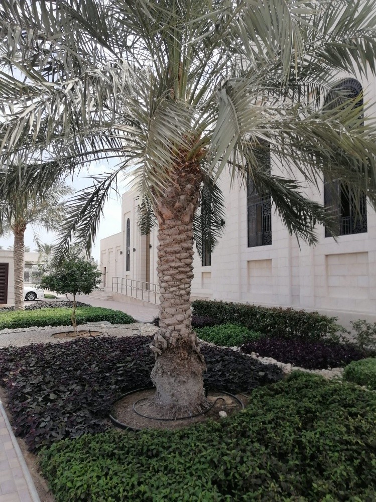 Gardening Services  - 3