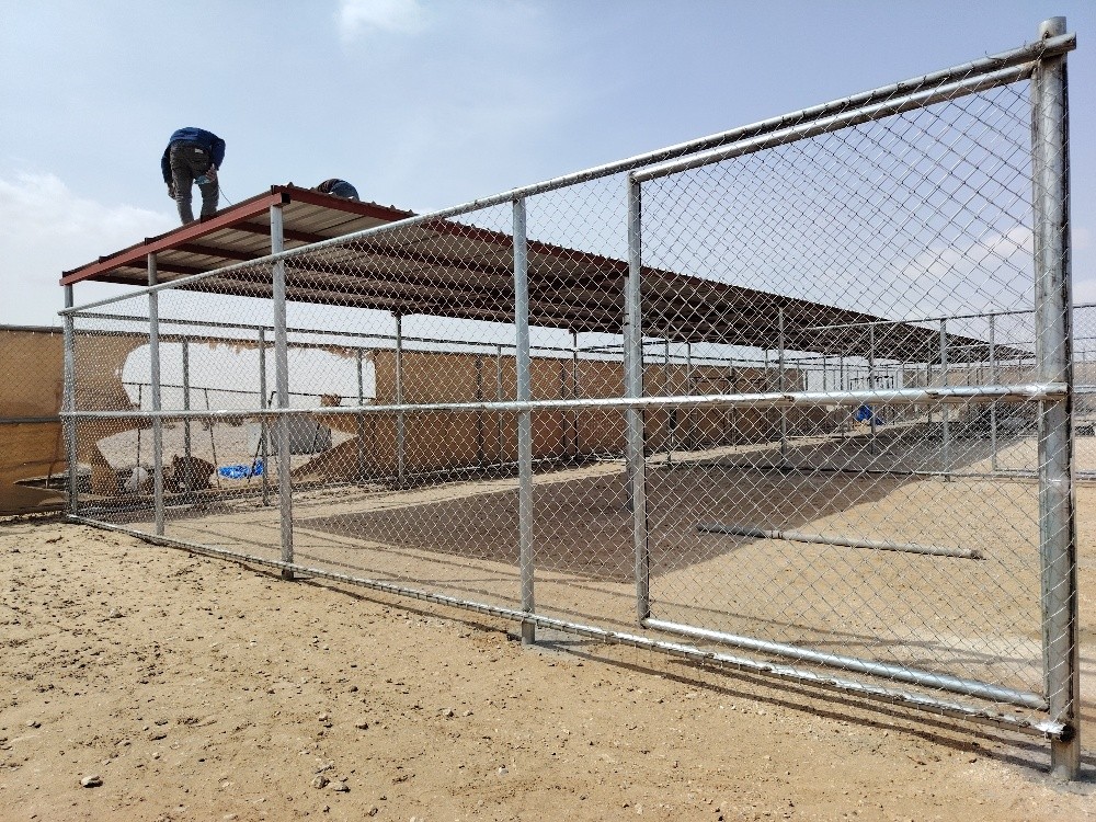 المجلة - 3