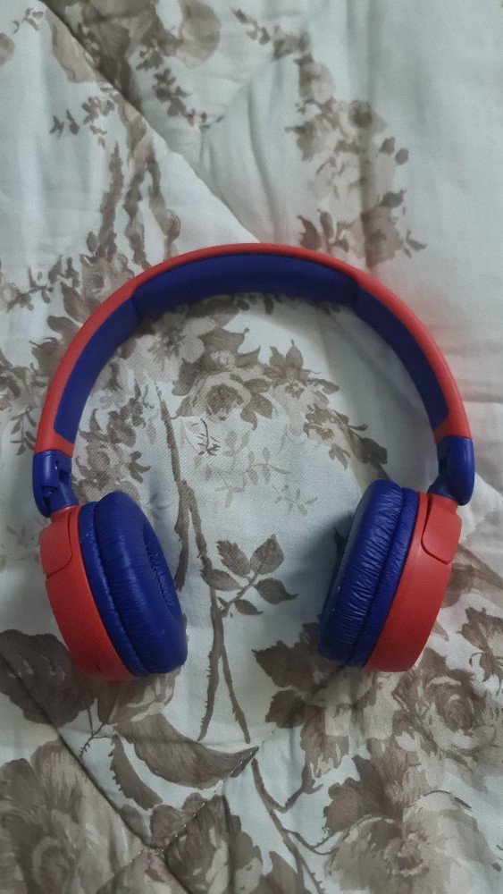 GBL 310 BT - 2