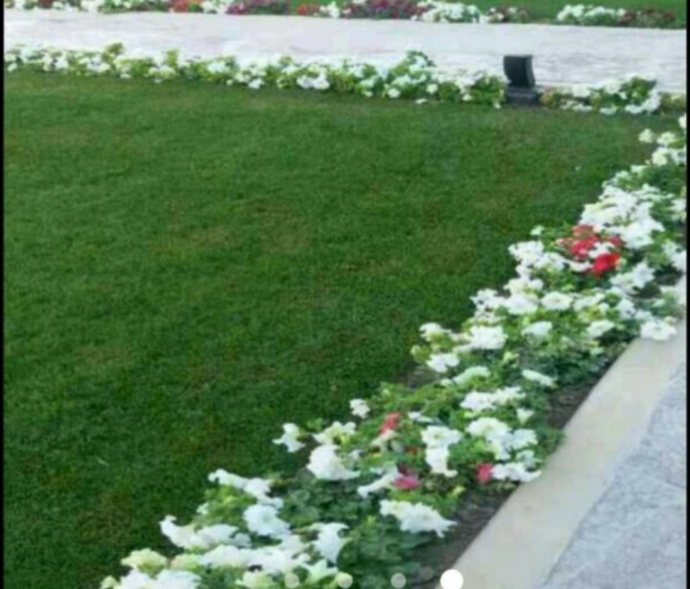 زراعة حدائق - 2
