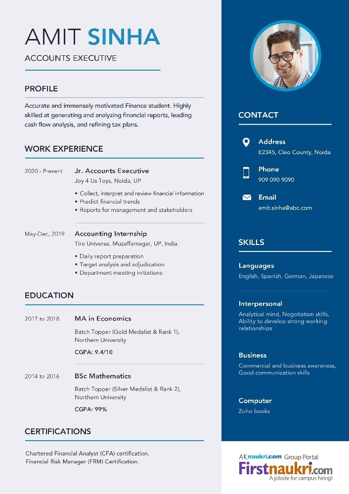 Professional CV and Resume - 1