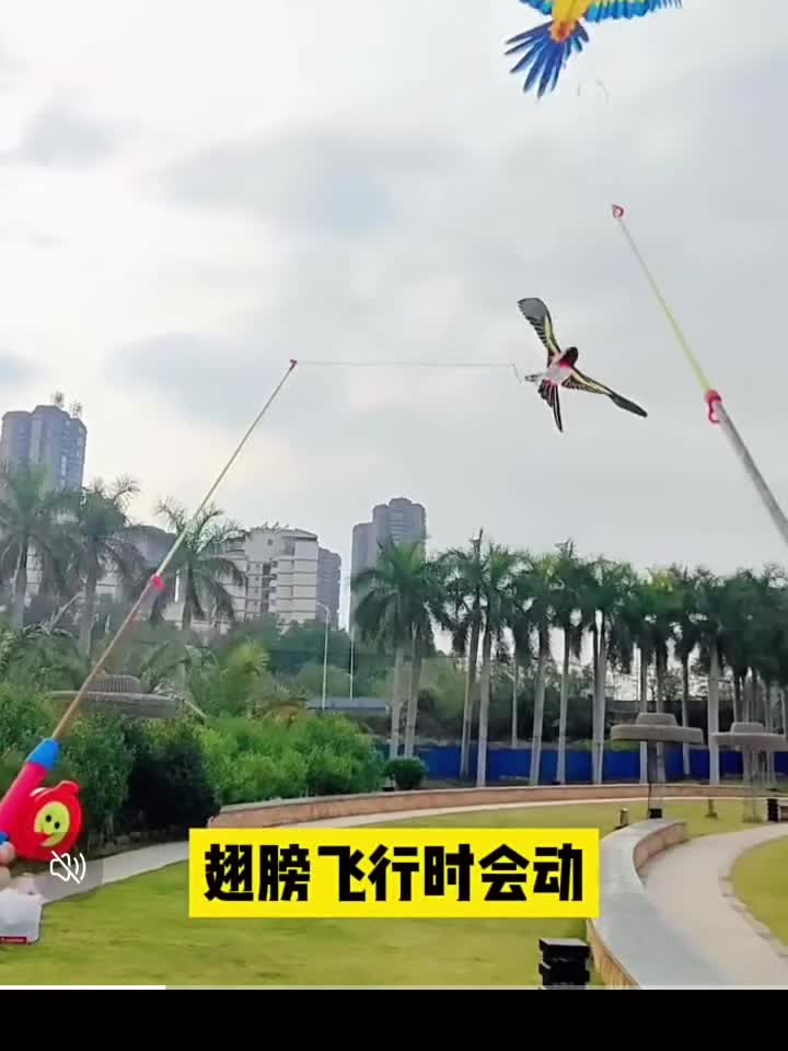 Fishing rod kite handheld - 7