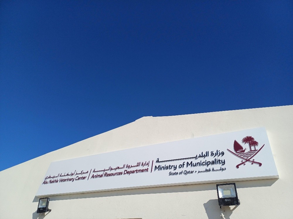 signage -printing -advertising - 6
