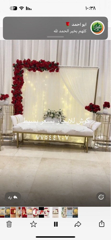 كوش ديجي  - 4