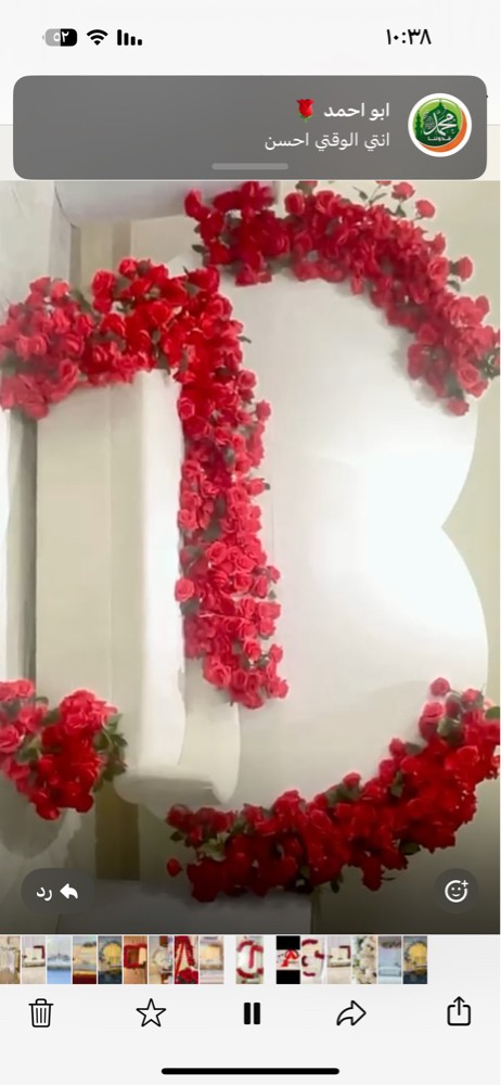 كوش ديجي  - 2