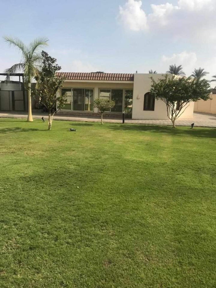 زراعه العشب - 2