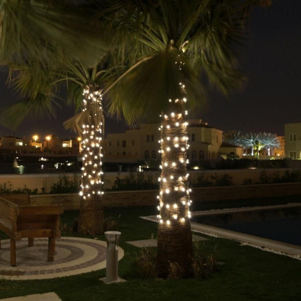 أشجار ازينه - 4