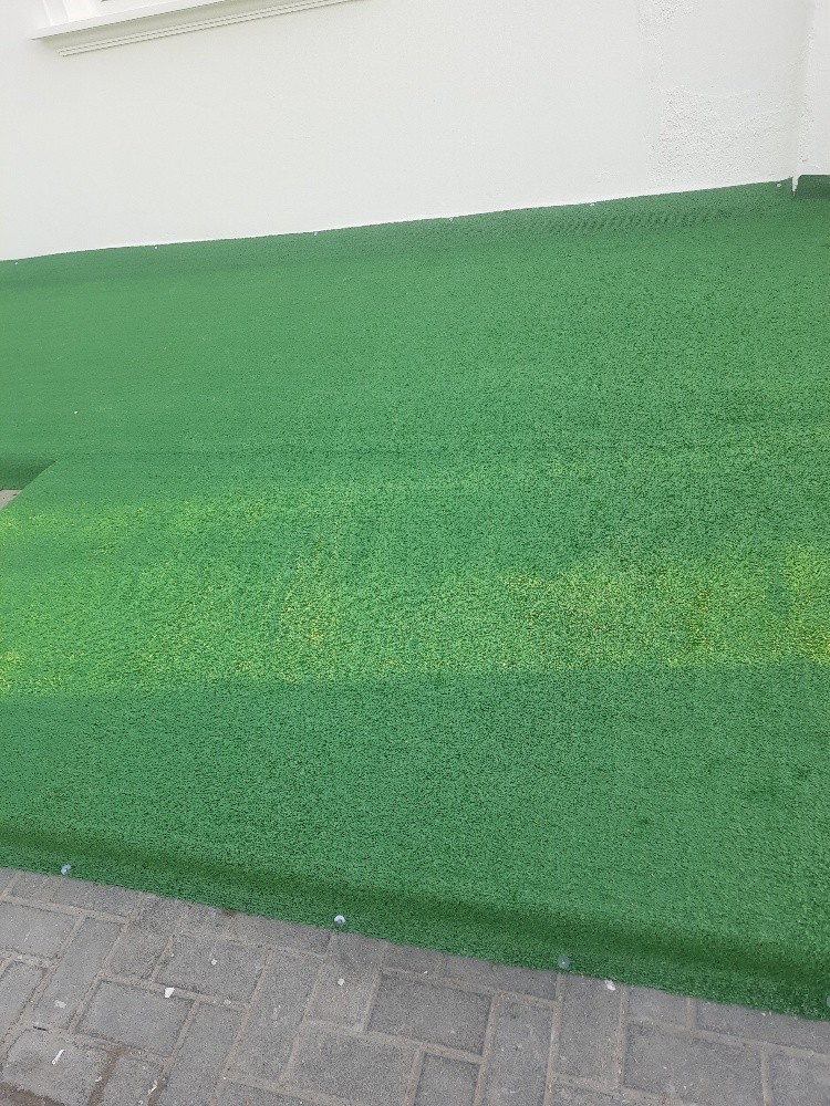 green carpet - 1