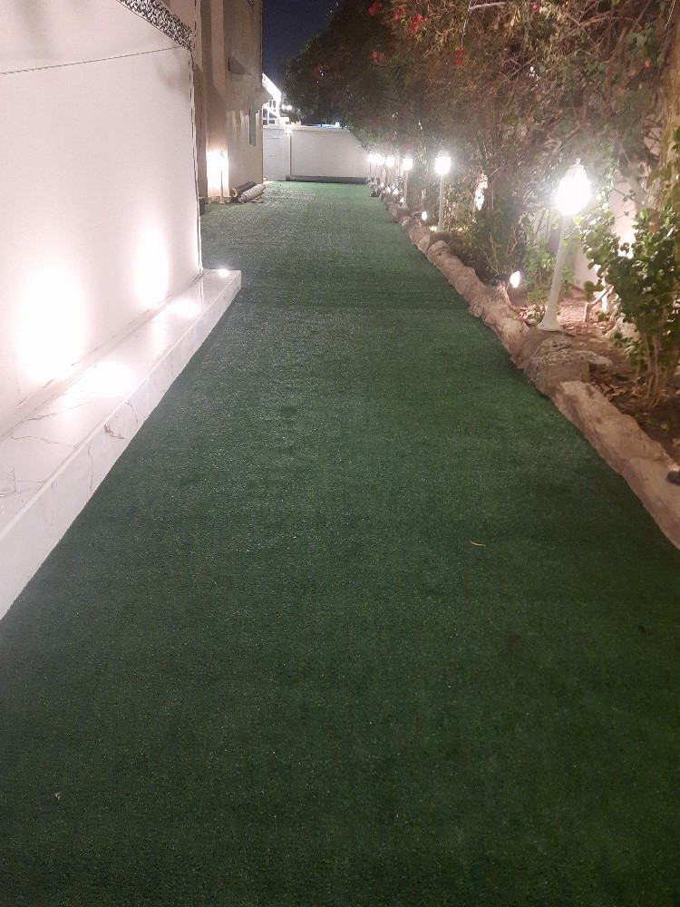 green carpet - 4