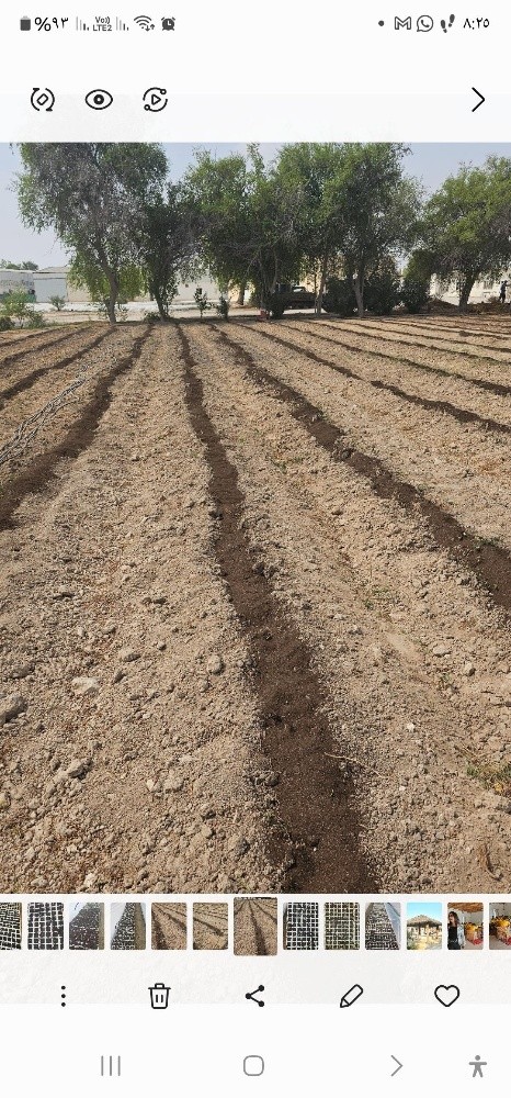 Agricultural Engineer - 1