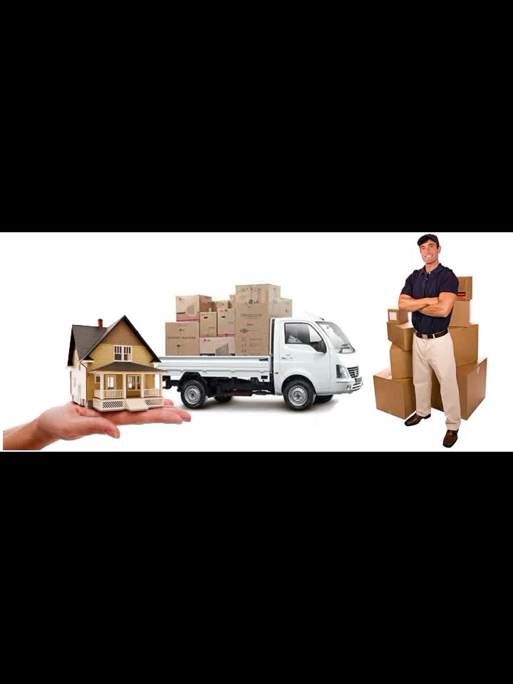 Qatar movers - 1