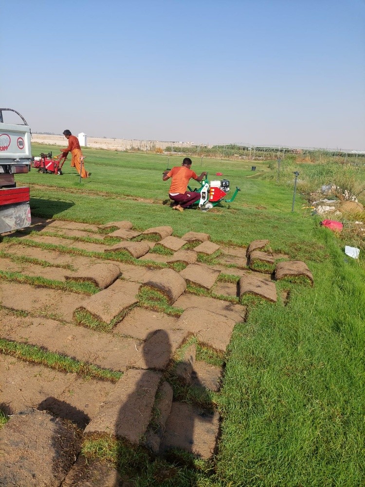مزارع - 3