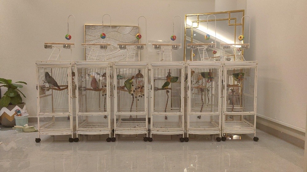 new cage for sale - 1