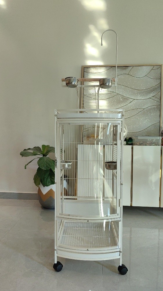 new cage for sale - 4