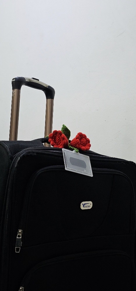 Bag Identification Mark - 1