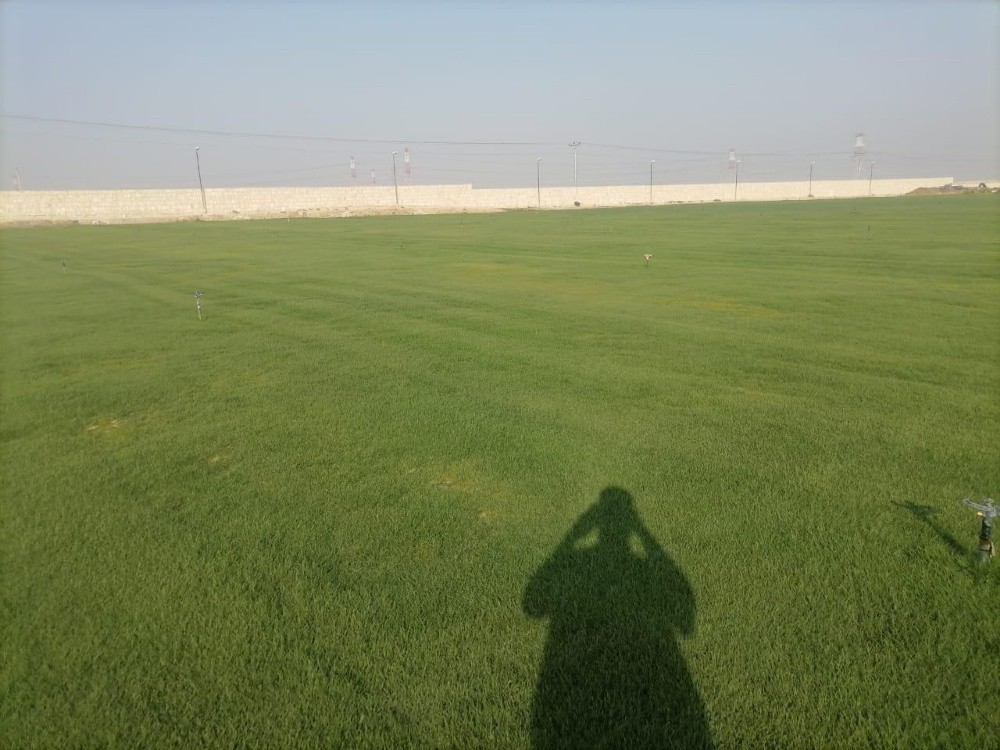 تقطيع أشجار ونخل وعشب وتنسيق - 5