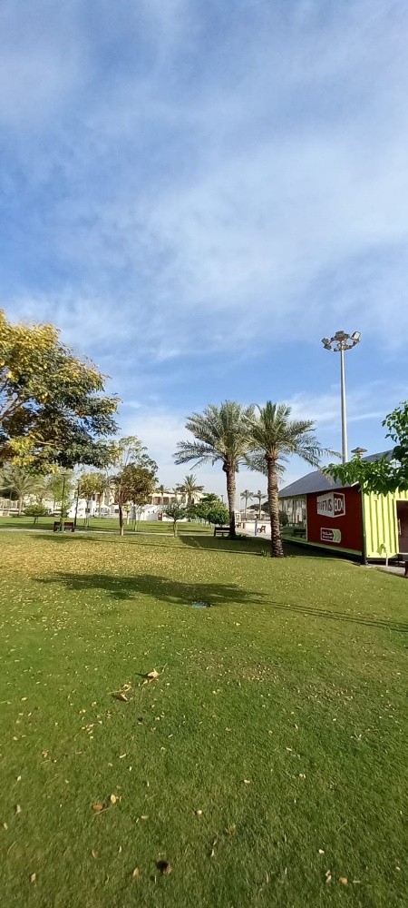 تزين حدايق - 1