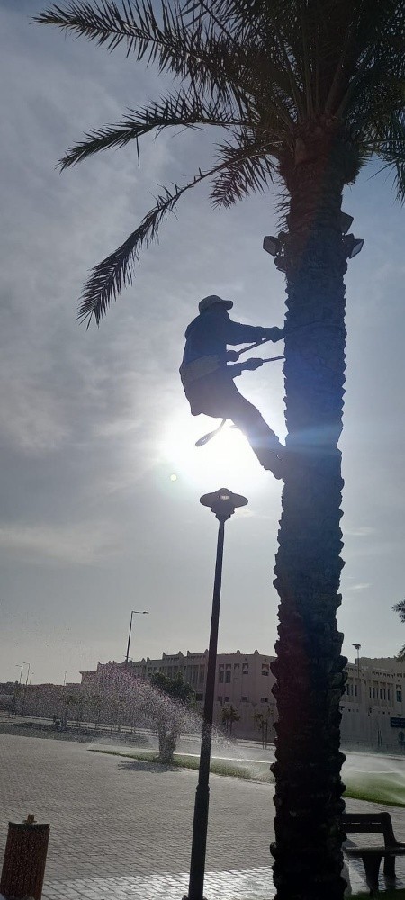 تزين حدايق - 2