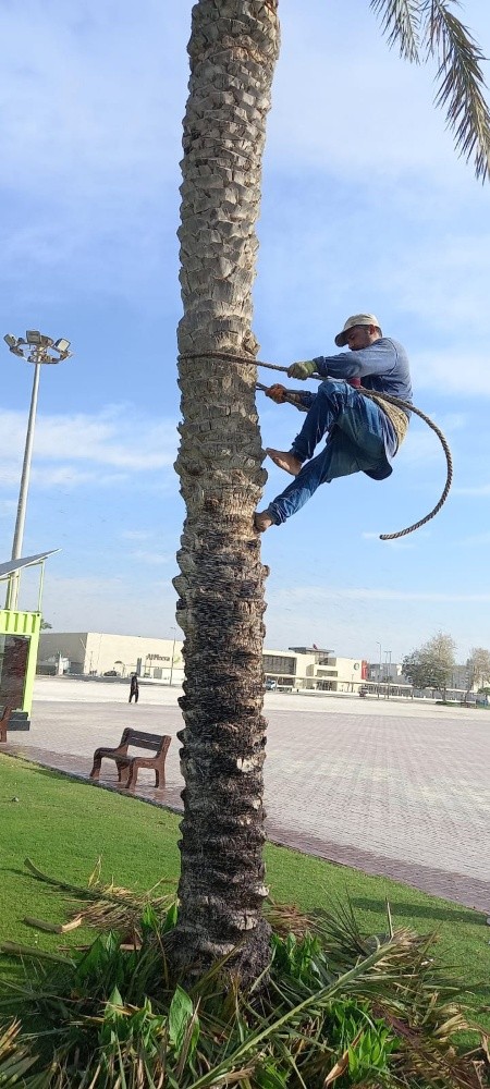 تزين حدايق - 4